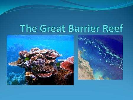 Facts The Great Barrier Reef is the worlds largest coral reef system. Stretching 2300 kilometers, this natural icon is so large it can even be seen from.