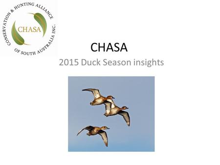 CHASA 2015 Duck Season insights. The Eastern Australia Waterbird Survey 2014 (Porter et al 2014) has recorded the lowest breeding index and dry conditions.