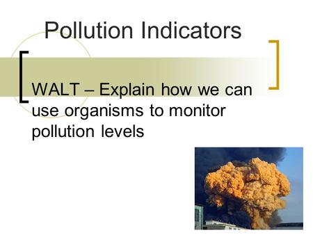 WALT – Explain how we can use organisms to monitor pollution levels Pollution Indicators.