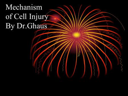 Mechanism of Cell Injury By Dr.Ghaus. Objectives:  Explain important general principles of cell injury  List the causes of cell injury  List the differences.