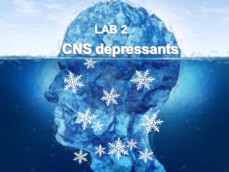 CNS depressants CNS depressants