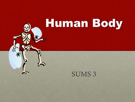 Human Body SUMS 3. Kit Objectives  Observe and investigate the human skeletal and muscle systems.  Become aware of the versatility of movement provided.