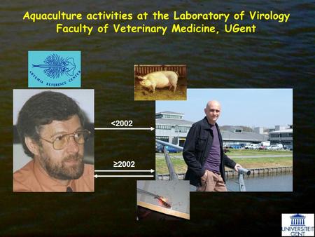 Aquaculture activities at the Laboratory of Virology Faculty of Veterinary Medicine, UGent 