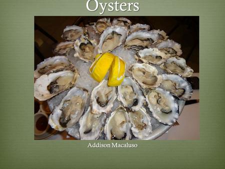 Oysters Addison Macaluso.