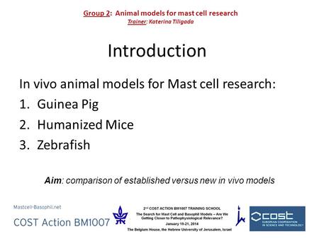 Introduction In vivo animal models for Mast cell research: 1.Guinea Pig 2.Humanized Mice 3.Zebrafish Aim: comparison of established versus new in vivo.