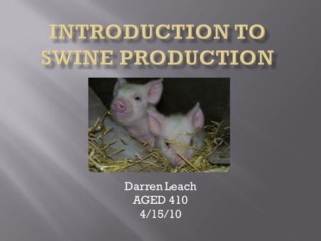 Darren Leach AGED 410 4/15/10 A. History of Swine Production 1. 4900 B.C. domesticated in China, 1500 B.C. in Europe 2. America’s first hogs came in.