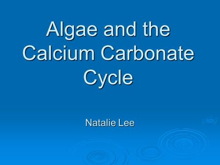 Algae and the Calcium Carbonate Cycle