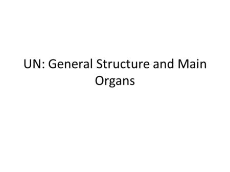 UN: General Structure and Main Organs