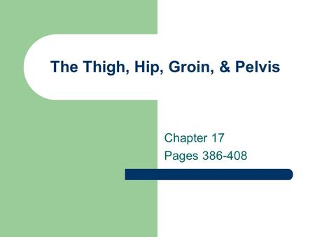 The Thigh, Hip, Groin, & Pelvis Chapter 17 Pages 386-408.