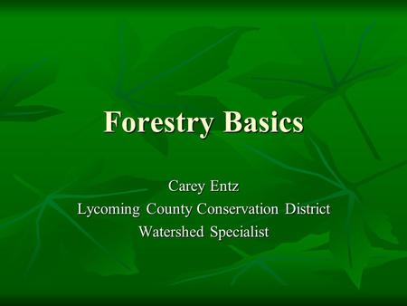 Forestry Basics Carey Entz Lycoming County Conservation District Watershed Specialist.