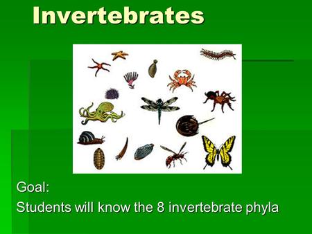 INTRODUCTION TO ANIMALS Chapter 34. Animal Basics  4 Defining  Characteristics  Morphology (animal bodies)  Invertebrates versus  vertebrates. - ppt download