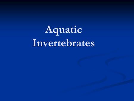 Aquatic Invertebrates. I. What is an Invertebrate? A. Animals without backbones B. Each group possess special adaptations to survive in an aquatic environment.