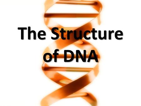 The Structure of DNA.