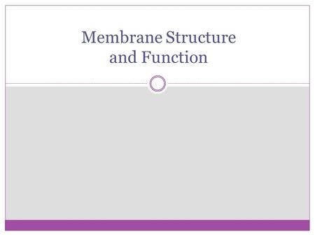 Membrane Structure and Function. Membrane Structure Plasma membrane is a boundary that separates the living cell from it’s non-living surroundings. 