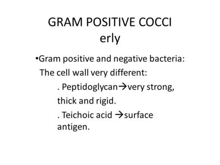 GRAM POSITIVE COCCI erly Gram positive and negative bacteria: The cell wall very different:. Peptidoglycan  very strong, thick and rigid.. Teichoic acid.