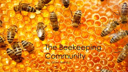 The Beekeeping Community BY: LOGAN FAIRFIELD. The Artifacts  Frames  Used to store honey and baby bees  Honey  Used to feed the hive and help last.