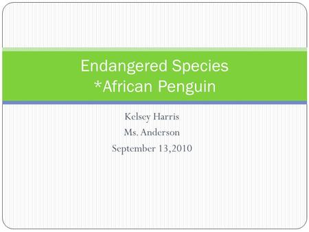Kelsey Harris Ms. Anderson September 13,2010 Endangered Species *African Penguin.