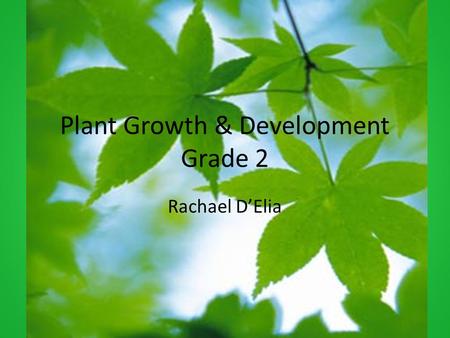 Plant Growth & Development Grade 2