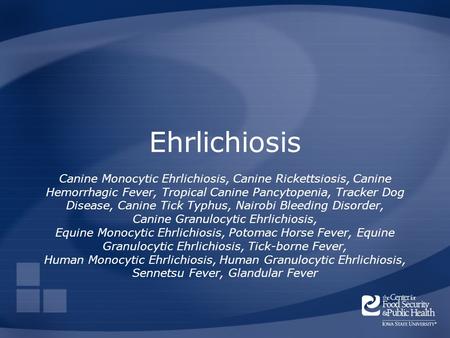 Ehrlichiosis Canine Monocytic Ehrlichiosis, Canine Rickettsiosis, Canine Hemorrhagic Fever, Tropical Canine Pancytopenia, Tracker Dog Disease, Canine Tick.