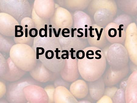Biodiversity of Potatoes. Review: Potato is the _____ part of a plant. The “eyes” are the _______ of the plant. The “eyes” produce _________. Texts: Animal.