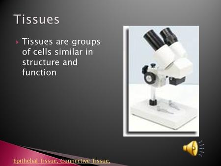 Tissues are groups of cells similar in structure and function Epithelial Tissue, Connective Tissue,