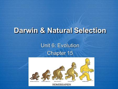 Darwin & Natural Selection