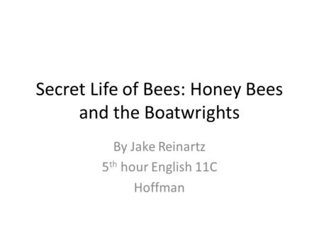 Secret Life of Bees: Honey Bees and the Boatwrights