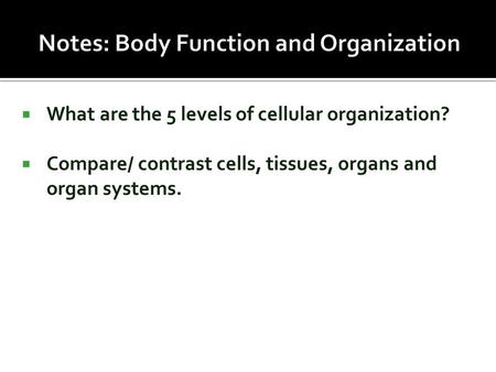 Notes: Body Function and Organization