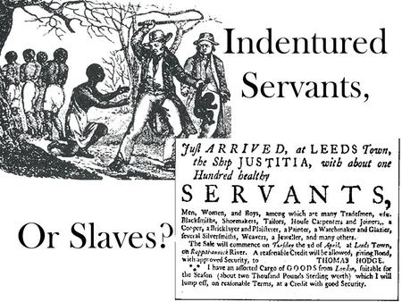 Indentured Servants, Or Slaves?.
