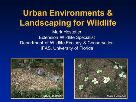 Urban Environments & Landscaping for Wildlife Mark Hostetler Extension Wildlife Specialist Department of Wildlife Ecology & Conservation IFAS, University.