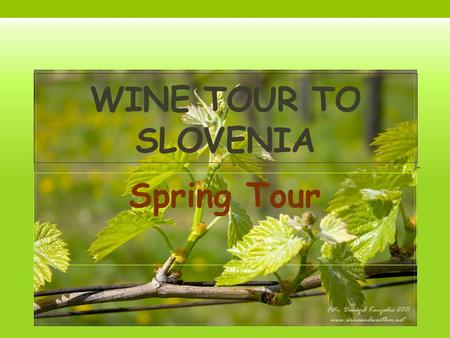 WINE TOUR TO SLOVENIA Spring Tour. Wine tour map.
