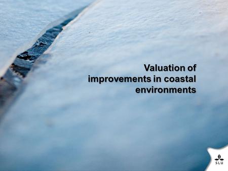 Valuation of improvements in coastal environments.