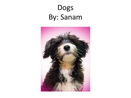 Dogs By: Sanam. Table of Contents pages Introduction…………………………………..…3 Chapter 1 What Are Dogs……………….…4 Chapter 2 Eating Right…………………….…5 Chapter 3 How.
