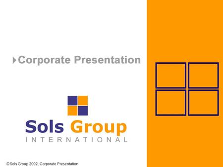  Sols Group 2002, Corporate Presentation. COMPANY PROFILE.