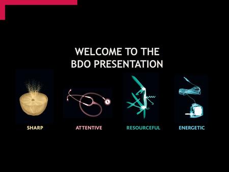 WELCOME TO THE BDO PRESENTATION. Who are we? Alex Lowden – Audit Trainee Adam Cook – Tax Trainee.