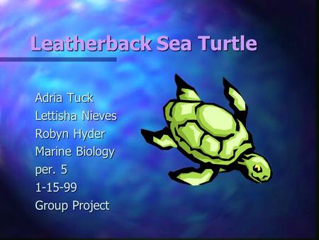 Leatherback Sea Turtle Adria Tuck Lettisha Nieves Robyn Hyder Marine Biology per. 5 1-15-99 Group Project.