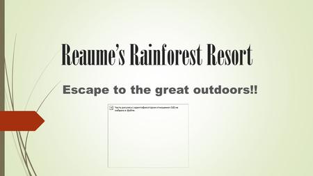 Reaume’s Rainforest Resort Escape to the great outdoors!!