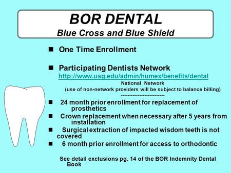 BOR DENTAL Blue Cross and Blue Shield One Time Enrollment Participating Dentists Network 