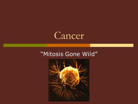 Cancer “Mitosis Gone Wild”.