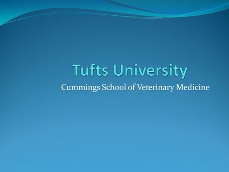 Cummings School of Veterinary Medicine. About… About 80 students a year are accepted 2009 – 2010 academic year for the DVM program is $39,426 Located.