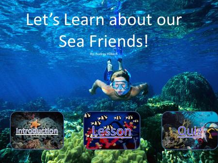 Let’s Learn about our Sea Friends! By: Audrey Hilbert.