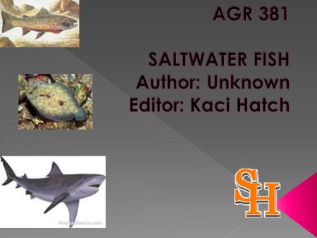  Categorize saltwater fish into one of the three ecological groupings;  List and describe representatives species from each of the three groupings;