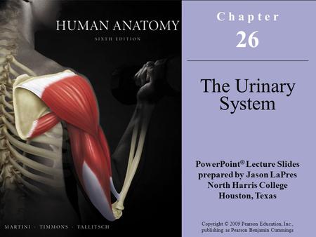 C h a p t e r 26 The Urinary System PowerPoint ® Lecture Slides prepared by Jason LaPres North Harris College Houston, Texas Copyright © 2009 Pearson Education,