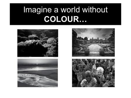 Imagine a world without COLOUR…. Welcome back! COLOUR is remarkable beauty often taken for granted.