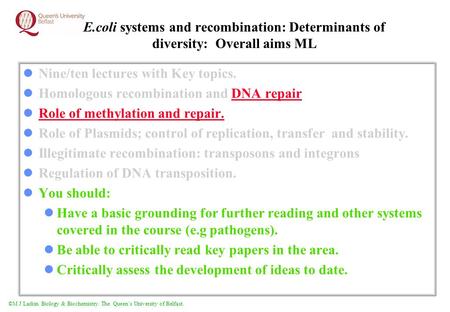 ©M J Larkin Biology & Biochemistry. The Queen’s University of Belfast. E.coli systems and recombination: Determinants of diversity: Overall aims ML Nine/ten.