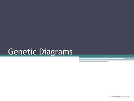 Genetic Diagrams Noadswood Science, 2012. Genetic Diagrams To understand how to be able to construct genetic diagrams BBbb BBbb BbBbBbBbBbBbBbBb Sunday,