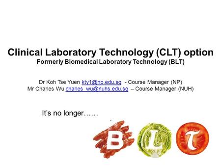 Clinical Laboratory Technology (CLT) option Formerly Biomedical Laboratory Technology (BLT) Dr Koh Tse Yuen - Course Manager
