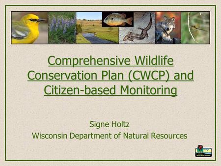 Comprehensive Wildlife Conservation Plan (CWCP) and Citizen-based Monitoring Signe Holtz Wisconsin Department of Natural Resources.