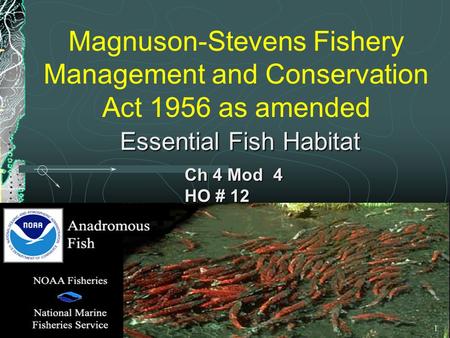 Magnuson-Stevens Fishery Management and Conservation Act 1956 as amended Ch 4 Mod 4 HO # 12 Essential Fish Habitat 1.