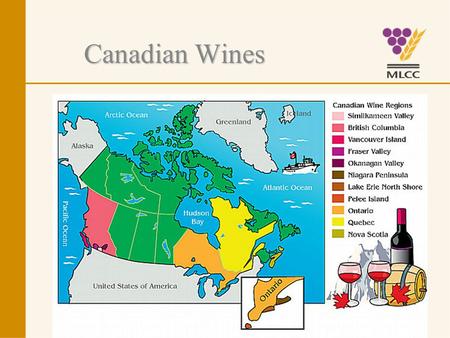 Canadian Wines. Canadian Wine Labels Understanding them.